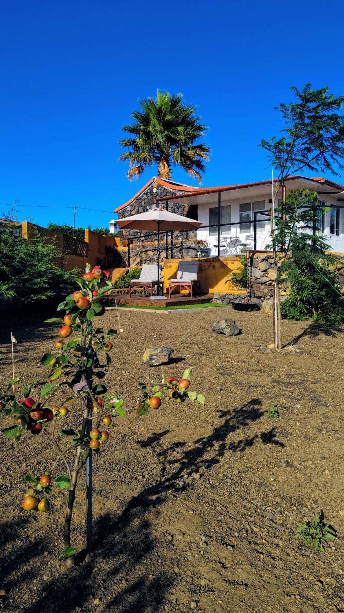 El Sueno: Un Lugar Especial Para Sus Vacaciones Fuencaliente de la Palma Eksteriør billede